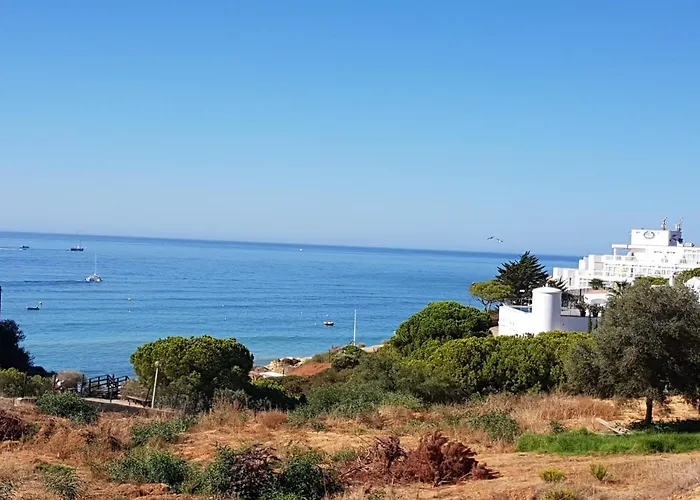 Vilamagna 501 - By Algarkasa